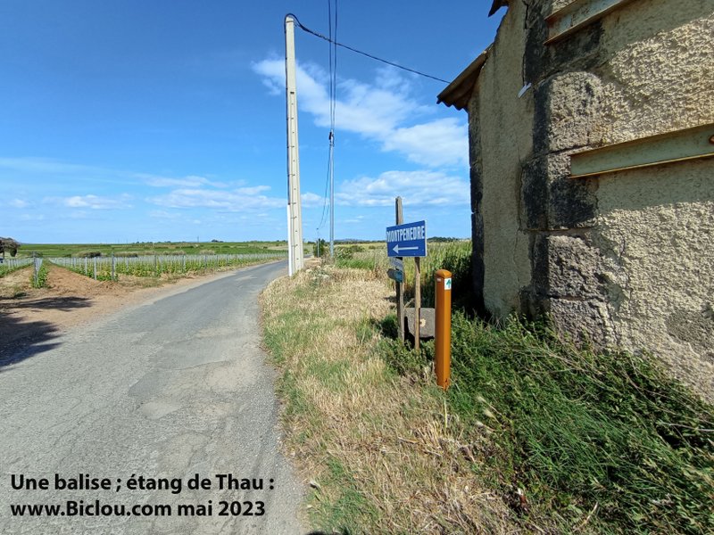 Thau : Ouf, On retrouve une balise 