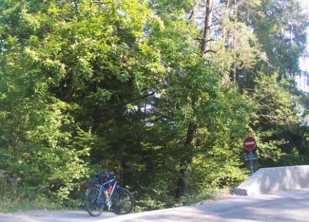 chemin des Bernets &agrave; Sevrier, route de Leschaux