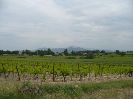 Le mont ventoux vu par Fanny de la dr&ocirc;me proven&ccedil;ale
