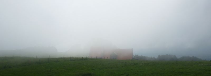 Le sal&egrave;ve embrum&eacute; en 2010