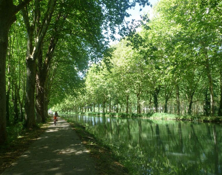 Belle partie goudronne&eacute; mais verte , le long du canal lat&eacute;ral de la Garonne