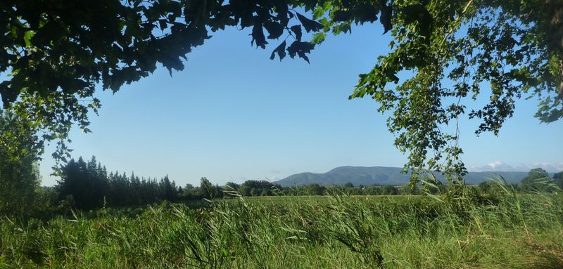 Vue sur les sommets des pyr&eacute;nn&eacute;es depuis le canal du midi en 2010