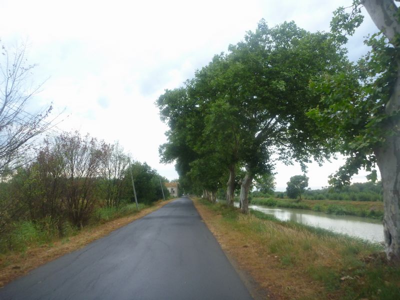 Piste cyclable le long du canal du Midi, 10 km apr&egrave;s Agde