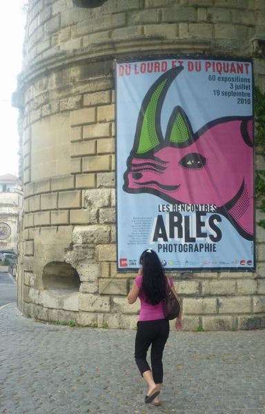 la concordance de couleurs du Rhinoc&eacute;ros et de Callypige d'QArles en 2010, 