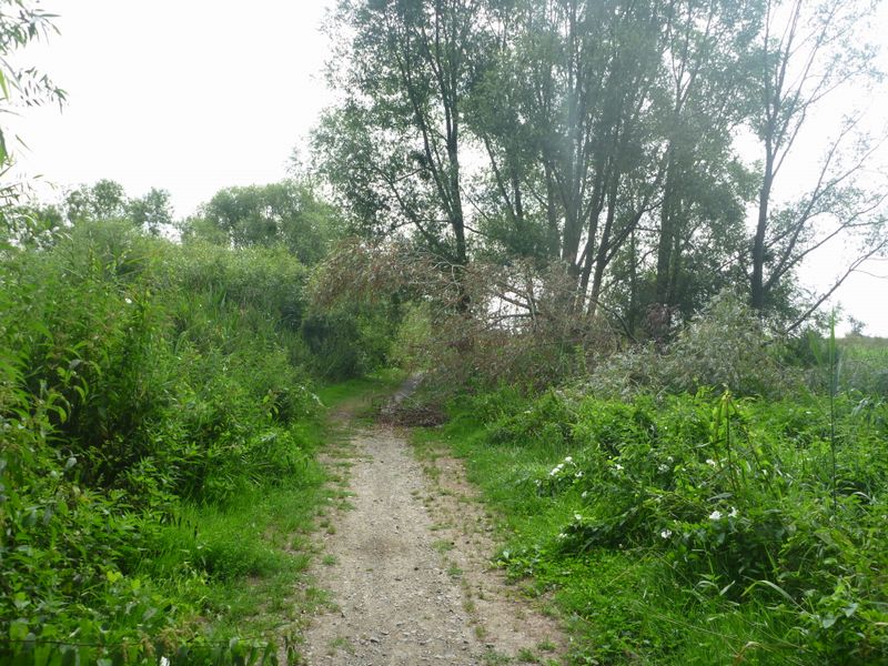 Beau chemin, mais si les bicyclettes ne rechigneront pas &agrave; l'arpenter, les v&eacute;los eux, h&eacute;siteront surtout en cas de pluie