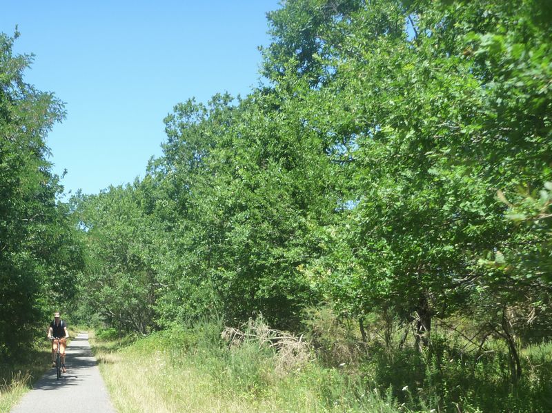 Balades &agrave; v&eacute;lo en for&ecirc;t des landes en 2010