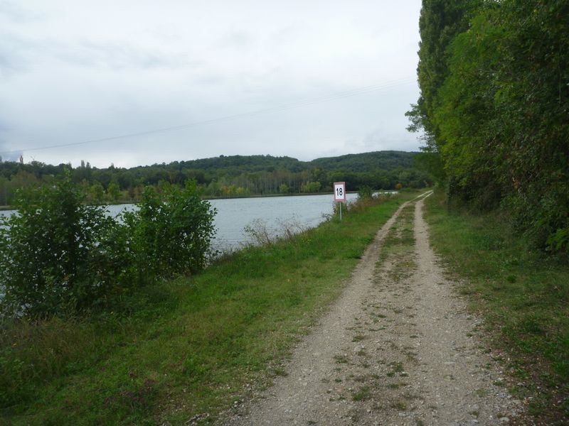 Le long du Rh&ocirc;ne en 2010, entre Fl&eacute;vieu et Saut Brenaz, ca passe tr&eacute;s bien