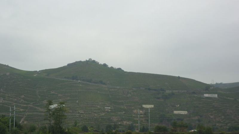 Le Vignoble de c&ocirc;te rotie &agrave; Ampuis en 2010