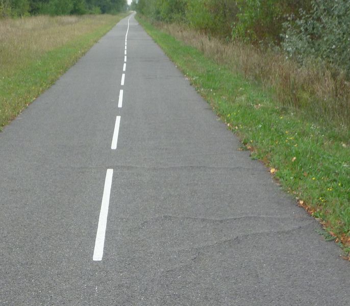 Etat de la chauss&eacute;e sur la via rh&ocirc;na entre Ampuis et Serri&egrave;res en 2010 apres 2 ans