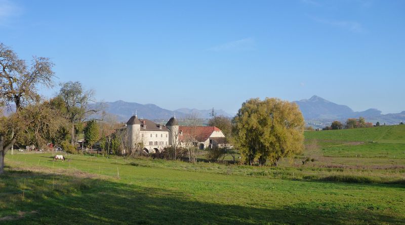 Ch&acirc;teau de Vully en Faucigny dans son &eacute;crin de verdure, pourvou che sa dure..