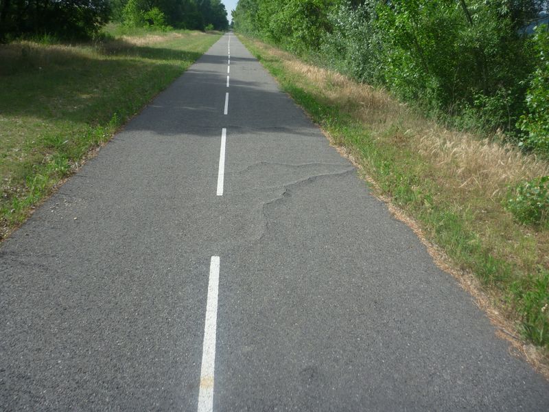 La via rh&ocirc;na en 2011 &agrave; Condrieu .. apr&egrave;s 2 ans , no comment ..