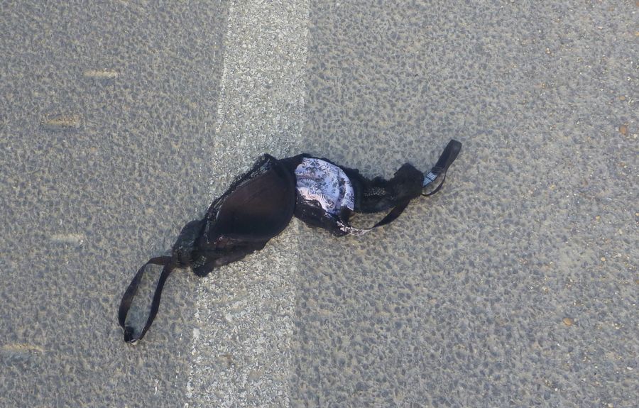 Est ce une vacje camarguaise qui �ta pr�cipitement son soutien-gorge ?