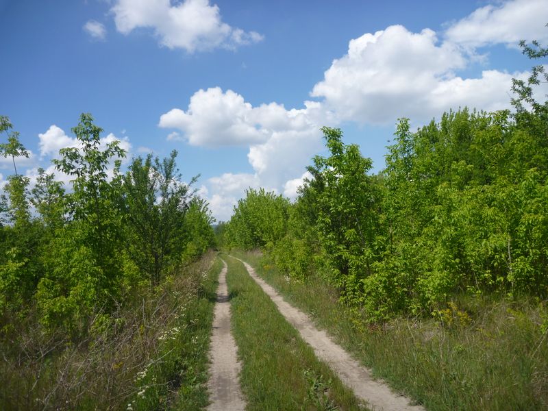 Piste cyclable se perdant dans la pampa en Hongrie sur l'euro v�lo 6