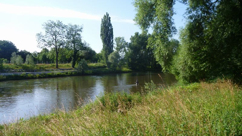 P&ecirc;che en eaux troubles sur le Danube en 2012