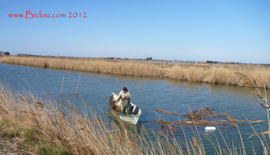 pecheur sur la canal du rhone a sete en 2012