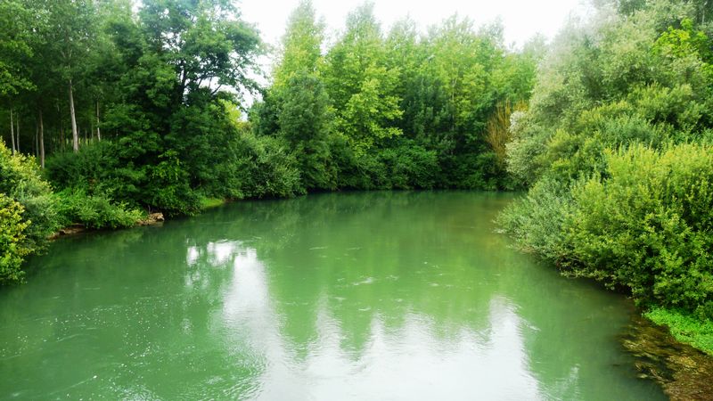 La Seine Verte avant Romilly sur Seine en 2013