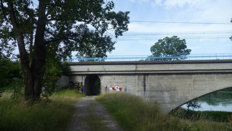 Promener ses chiens à vélo