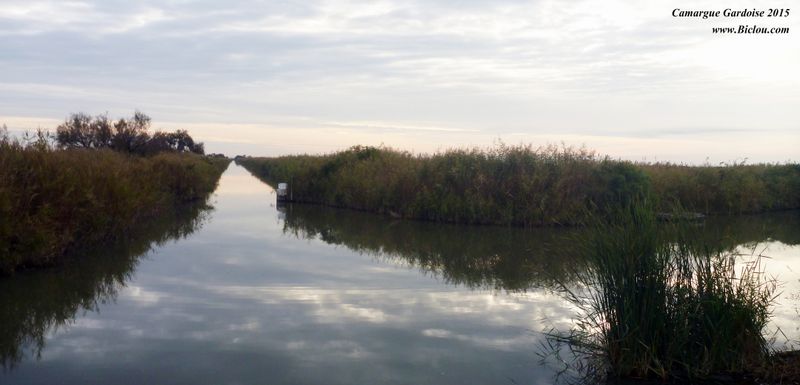 Canal des Capettes de Scamandre à Gallician Gard 2015 sur ViaRhôna