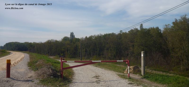 Sur la levée du canal de Jonage en 2015, ViaRhôna est à droite ici