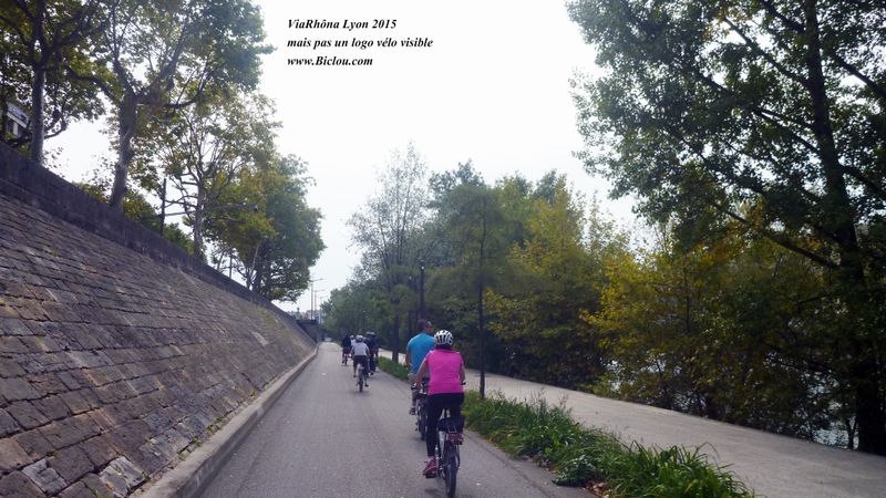 Sur les quais à Lyon 2015 : ViaRhôna mais non identifiée in situ