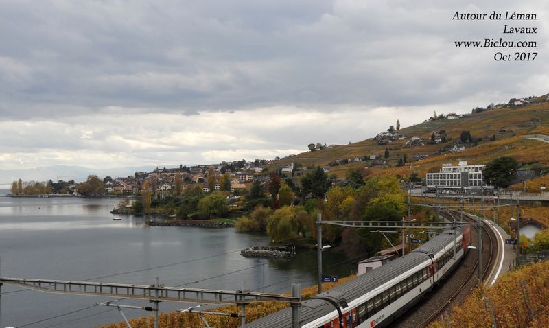 De nombreux trains roulent le long du Léman en Suisse