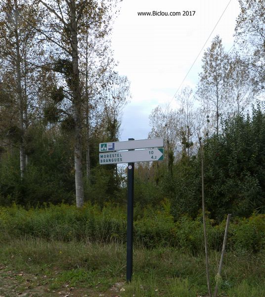 Balisage ViaRhôna dans les bois et pairies, du côté de Morestel 