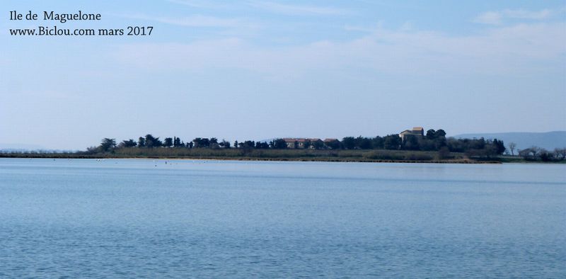 Ile de Maguelone pr&egrave;s de Palavas en 2017