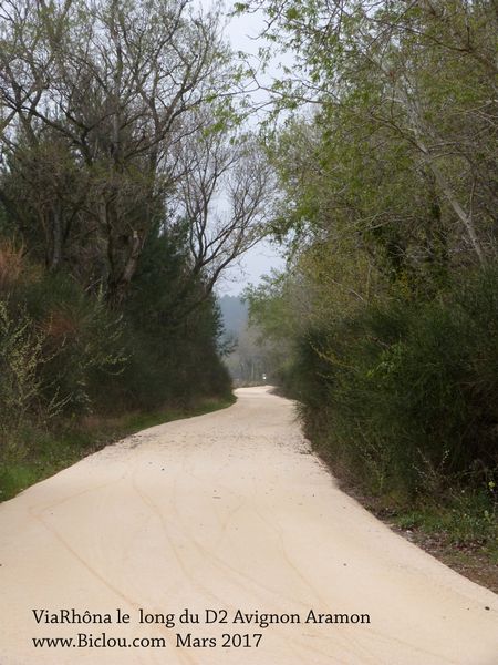 La ViaRhôna déroule son tapis de Avignon vers Aramon en mars 2017 