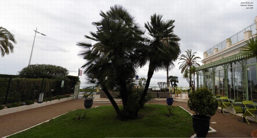 Le jardin de Belambra de Menton
