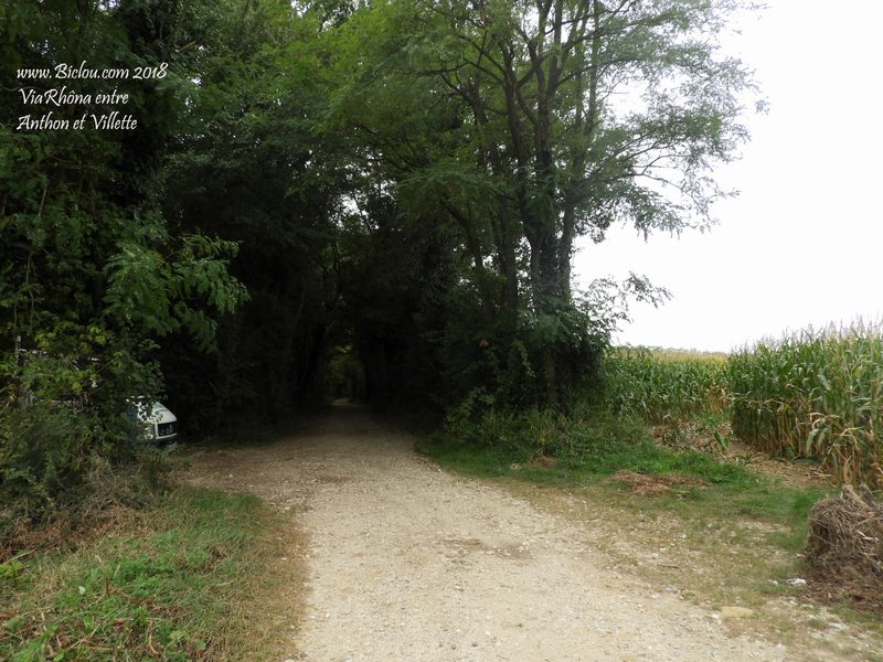 viarhôna-anthon-bois-de-Franchises