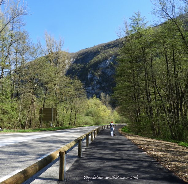 La voie verte d'Aiguebelette