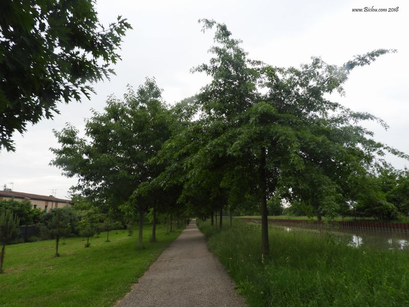 La velo-route longeant le canal de la Garonne