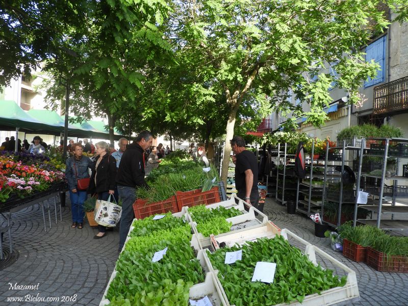 Marché de Mazamet