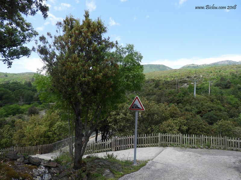 Pente excessive sur la vélo-route du haut-languedoc