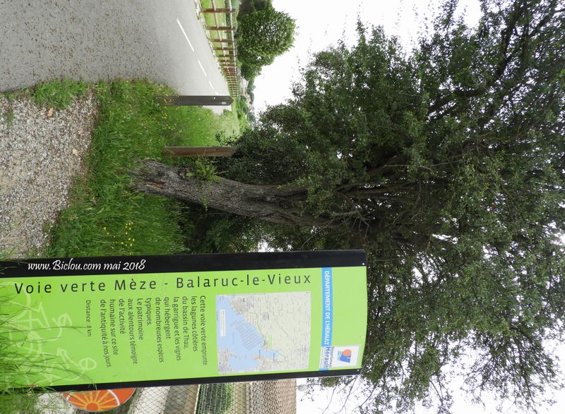 Voie verte Mèze Balaruc