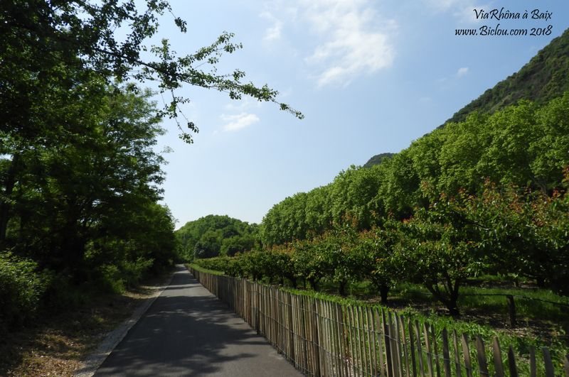 ViaRhôna dans les maraiches de Baix, opérationnelle en 2018