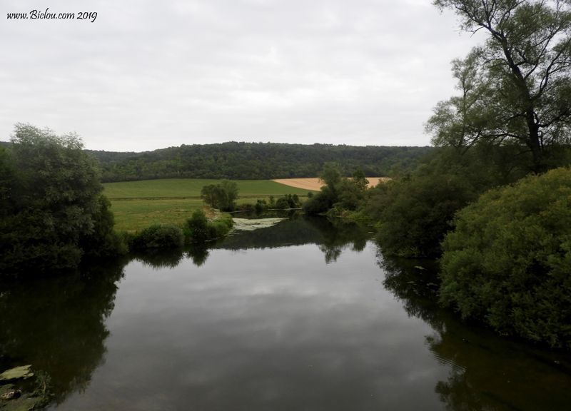 La Meuse prend forme