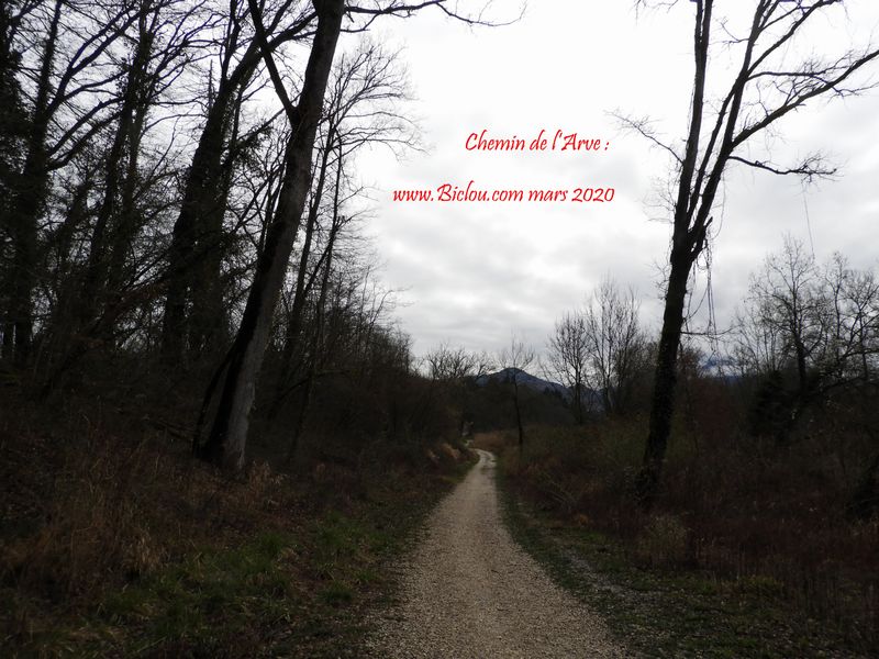 Chemin de l'Arve