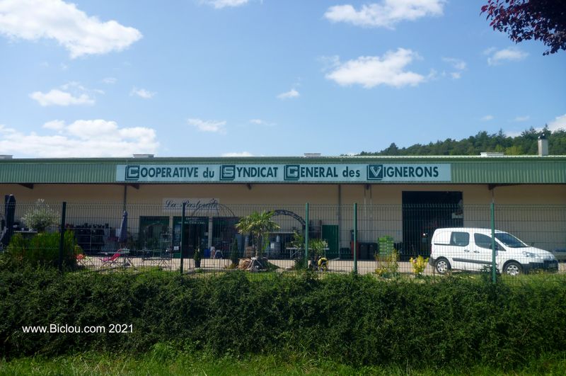 Cave ccop&eacute;rative des Vignerons de : Les Riceys
