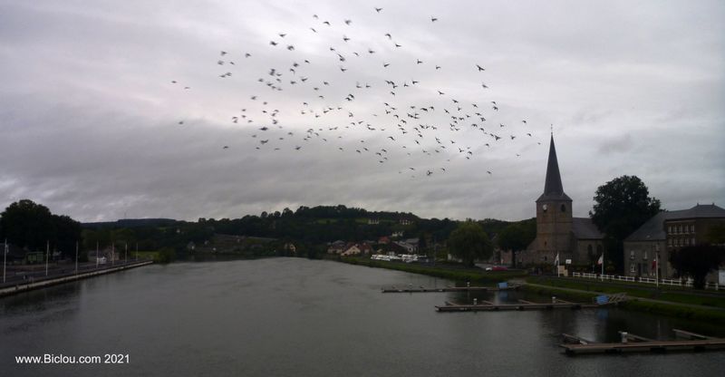 Et soudain j'ai vu .. passer les oies sauvages au dessus de La Meuse &agrave; Givet