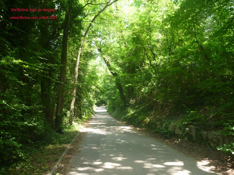 Descente vers le Rh&ocirc;ne depuis le bois de Fargout