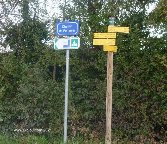 Par Miracle ; retour du Balisage ViaRh&ocirc;na en Nord Is&egrave;re (Jons)