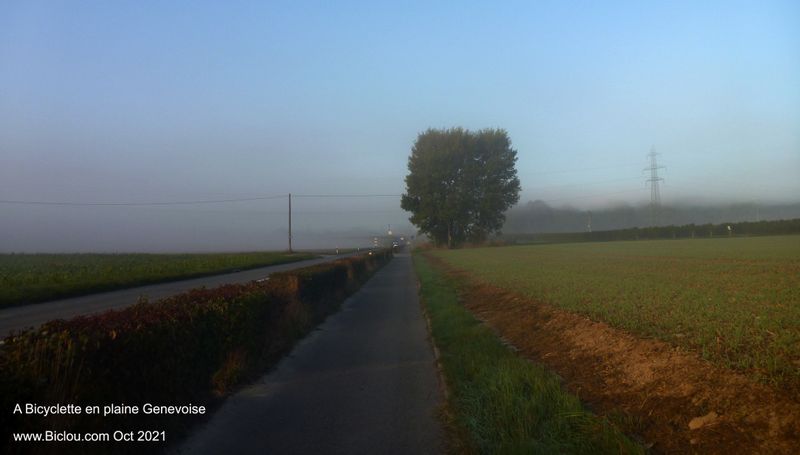 On the road again, en plaine genevoise, du c&ocirc;t&eacute; de Perly