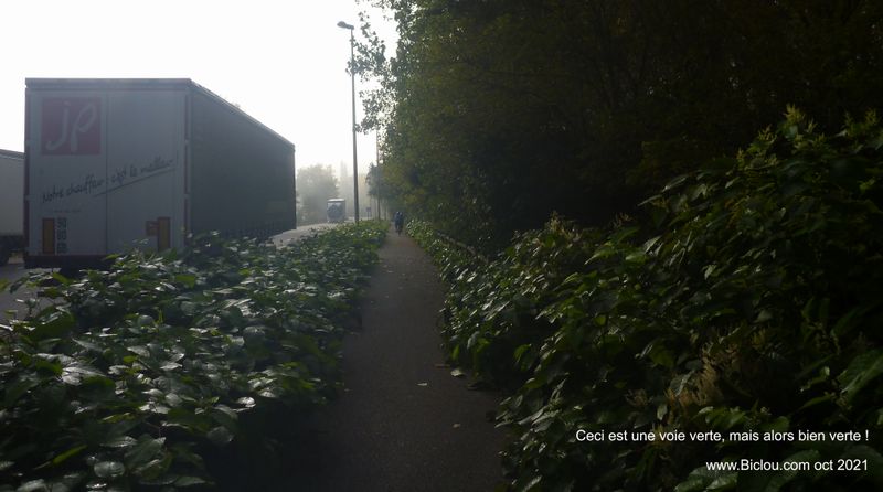 Sur ViaRh&ocirc;na ; Ceci est une voie verte, mais alors bien verte ..