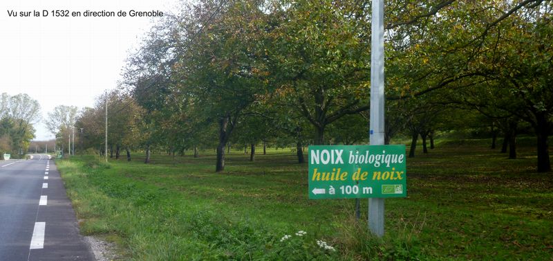 Noix de Grenoble