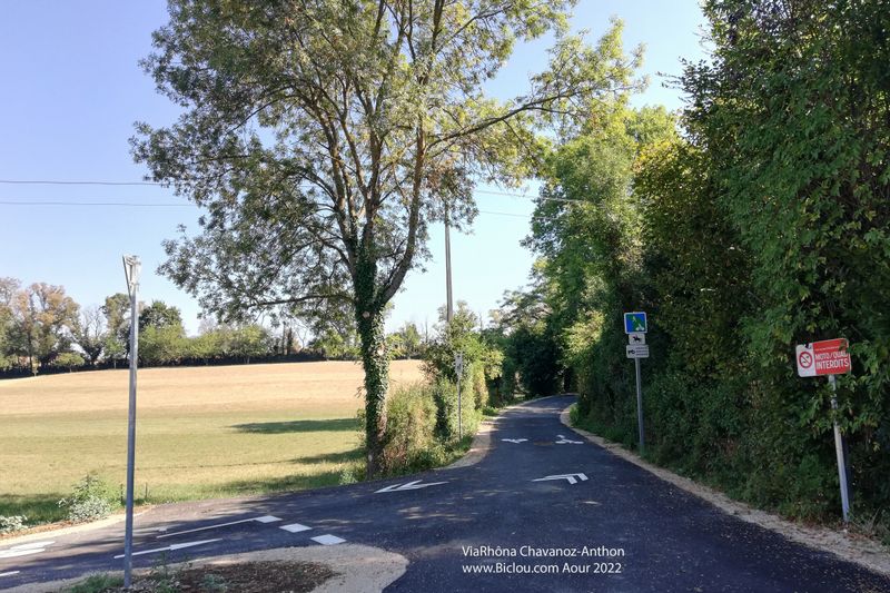Am&eacute;nagement ViaRh&ocirc;na 2022 ; Direction Anthon