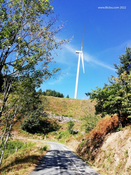 Belle éolienne (Beaujolais vert)