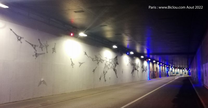 Paris : Tunnel des Tuileries , &agrave;à Bicyclette et d&eacute;sert .. (2022)