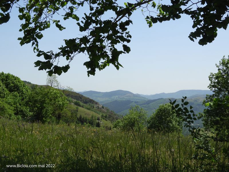 Paysage des C&eacute;vennes