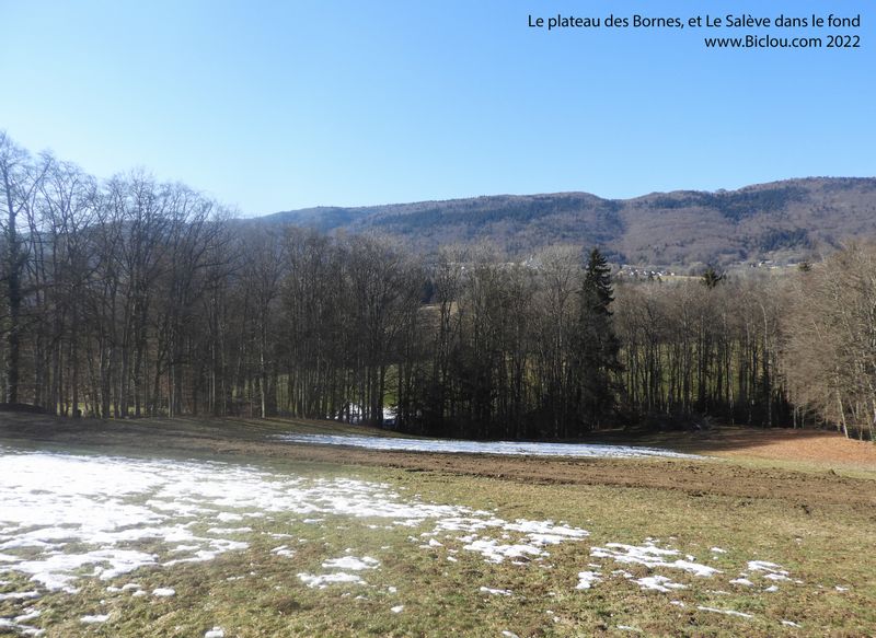 Nous sommes sous le Sal&egrave;ve, exactement &agrave; 900 m d'altitude, au mois de F&eacute;vrier 2022 !